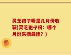 灵芝孢子粉是几月份收获(灵芝孢子粉：哪个月份采摘最佳？)