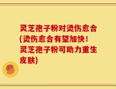 灵芝孢子粉对烫伤愈合(烫伤愈合有望加快！灵芝孢子粉可助力重生皮肤)