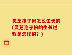 灵芝孢子粉怎么生长的(灵芝孢子粉的生长过程是怎样的？)