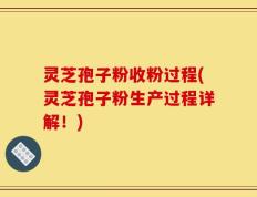 灵芝孢子粉收粉过程(灵芝孢子粉生产过程详解！)