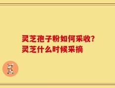 灵芝孢子粉如何采收？灵芝什么时候采摘