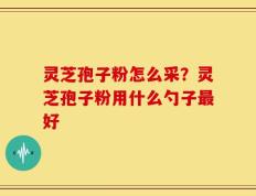 灵芝孢子粉怎么采？灵芝孢子粉用什么勺子最好