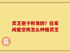 灵芝孢子粉发酵？在家闲置空房怎么种植灵芝