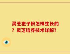 灵芝孢子粉怎样生长的？灵芝培养技术详解？
