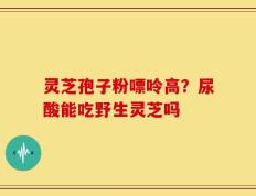灵芝孢子粉嘌呤高？尿酸能吃野生灵芝吗