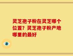 灵芝孢子粉在灵芝哪个位置？灵芝孢子粉产地哪里的最好