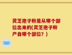 灵芝孢子粉是从哪个部位出来的(灵芝孢子粉产自哪个部位？)