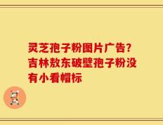 灵芝孢子粉图片广告？吉林敖东破壁孢子粉没有小看帽标