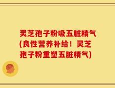 灵芝孢子粉吸五脏精气(良性营养补给！灵芝孢子粉重塑五脏精气)