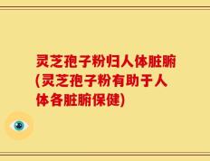 灵芝孢子粉归人体脏腑(灵芝孢子粉有助于人体各脏腑保健)