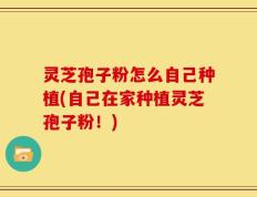 灵芝孢子粉怎么自己种植(自己在家种植灵芝孢子粉！)