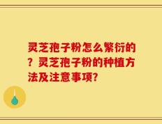 灵芝孢子粉怎么繁衍的？灵芝孢子粉的种植方法及注意事项？