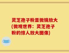 灵芝孢子粉显微镜放大(微观世界：灵芝孢子粉的惊人放大图像)
