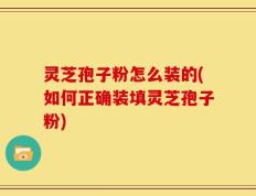 灵芝孢子粉怎么装的(如何正确装填灵芝孢子粉)