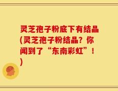灵芝孢子粉底下有结晶(灵芝孢子粉结晶？你闻到了“东南彩虹”！)