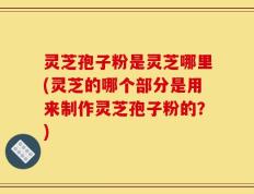 灵芝孢子粉是灵芝哪里(灵芝的哪个部分是用来制作灵芝孢子粉的？)