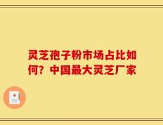 灵芝孢子粉市场占比如何？中国最大灵芝厂家