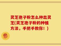 灵芝孢子粉怎么种出灵芝(灵芝孢子粉的种植方法，手把手教你！)