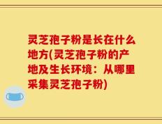 灵芝孢子粉是长在什么地方(灵芝孢子粉的产地及生长环境：从哪里采集灵芝孢子粉)