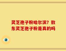 灵芝孢子粉哈尔滨？敖东灵芝孢子粉是真的吗