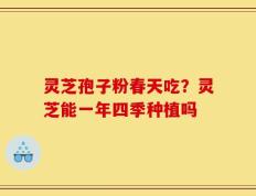 灵芝孢子粉春天吃？灵芝能一年四季种植吗