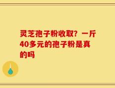 灵芝孢子粉收取？一斤40多元的孢子粉是真的吗