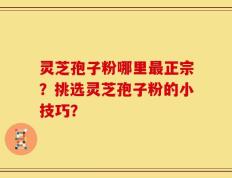灵芝孢子粉哪里最正宗？挑选灵芝孢子粉的小技巧？