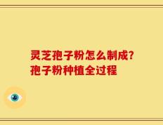 灵芝孢子粉怎么制成？孢子粉种植全过程