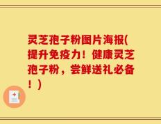 灵芝孢子粉图片海报(提升免疫力！健康灵芝孢子粉，尝鲜送礼必备！)