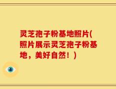 灵芝孢子粉基地照片(照片展示灵芝孢子粉基地，美好自然！)