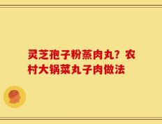 灵芝孢子粉蒸肉丸？农村大锅菜丸子肉做法