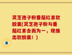 灵芝孢子粉番茄红素软胶囊(灵芝孢子粉与番茄红素合而为一，现推出软胶囊！)