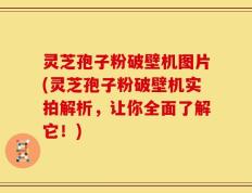 灵芝孢子粉破壁机图片(灵芝孢子粉破壁机实拍解析，让你全面了解它！)