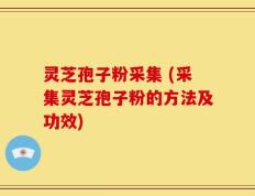 灵芝孢子粉采集 (采集灵芝孢子粉的方法及功效)