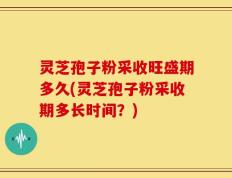 灵芝孢子粉采收旺盛期多久(灵芝孢子粉采收期多长时间？)