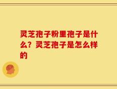 灵芝孢子粉里孢子是什么？灵芝孢子是怎么样的