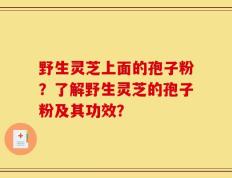 野生灵芝上面的孢子粉？了解野生灵芝的孢子粉及其功效？