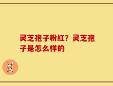 灵芝孢子粉红？灵芝孢子是怎么样的