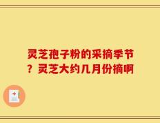 灵芝孢子粉的采摘季节？灵芝大约几月份摘啊