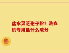 盐水灵芝孢子粉？洗衣机专用盐什么成分