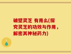 破壁灵芝 有用么(探究灵芝的功效与作用，解密其神秘药力)