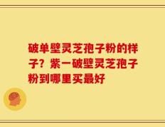 破单壁灵芝孢子粉的样子？紫一破壁灵芝孢子粉到哪里买最好