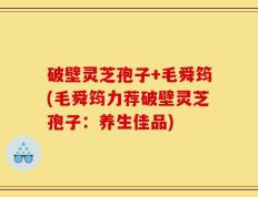 破壁灵芝孢子+毛舜筠(毛舜筠力荐破壁灵芝孢子：养生佳品)