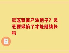 灵芝背面产生孢子？灵芝要采摘了才能继续长吗