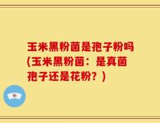 玉米黑粉菌是孢子粉吗(玉米黑粉菌：是真菌孢子还是花粉？)