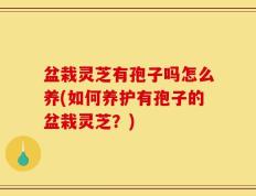 盆栽灵芝有孢子吗怎么养(如何养护有孢子的盆栽灵芝？)