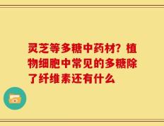 灵芝等多糖中药材？植物细胞中常见的多糖除了纤维素还有什么