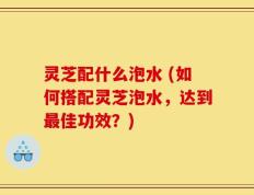 灵芝配什么泡水 (如何搭配灵芝泡水，达到最佳功效？)