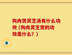 狗肉煲灵芝汤有什么功效 (狗肉灵芝煲的功效是什么？)