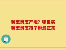 破壁灵芝产地？哪里买破壁灵芝孢子粉最正宗